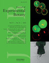 实验植物学杂志杂志
