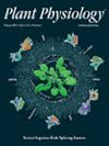 植物生理学杂志