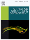 节肢动物结构与发育