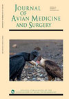 鸟类医学与外科杂志