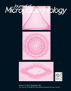 微古生物学杂志