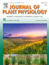 植物生理学杂志