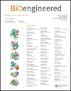 生物工程杂志