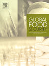 全球粮食安全-农业政策经济学与环境