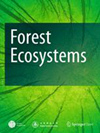 森林生态系统