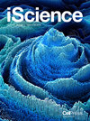 科学杂志