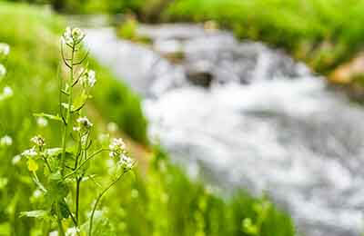 生态农业技术论文