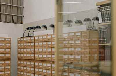 档案工作汇报材料