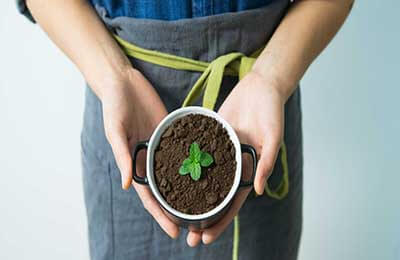 森林资源培育方法