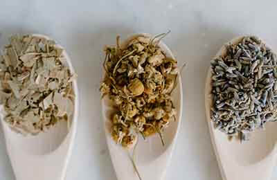 中药制药专业论文