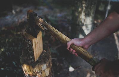 林业工程苗木培育及移植造林研究