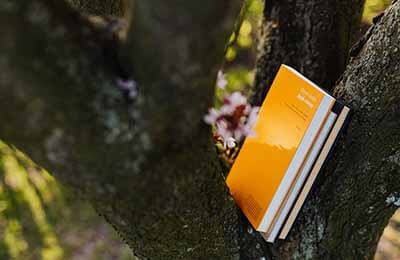 初中语文散文教学