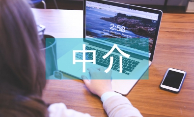 中介公司工作总结