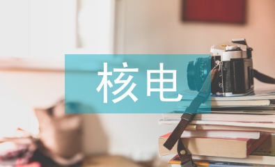 核电工程设计论文