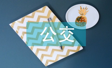 公交服务质量问题与对策