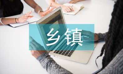 乡镇管理下新农村建设论文