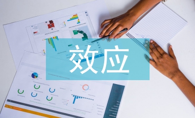 微观经济学总效应