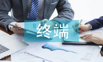 终端业务工作计划