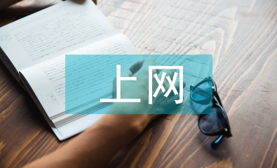 中学生上网调查报告