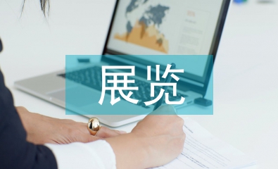 展览活动总结