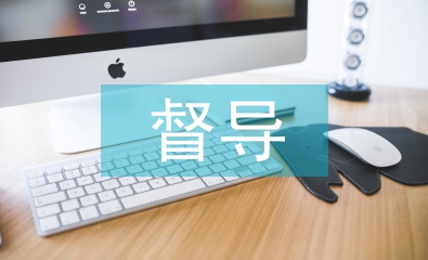 组长督导工作计划