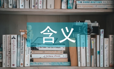 简述人力资源的含义