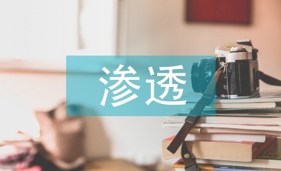 信息技术在数学史的渗透