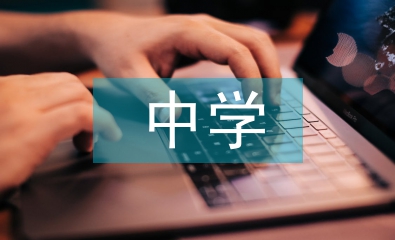 中学教育理论基础知识
