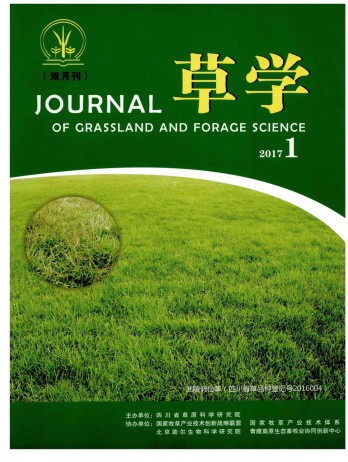 草业与畜牧杂志