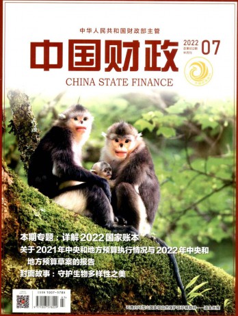 中国财政论文