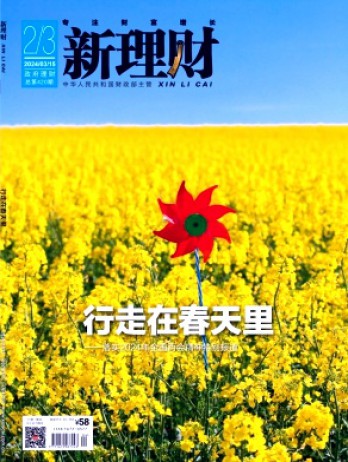 新理财·政府理财杂志