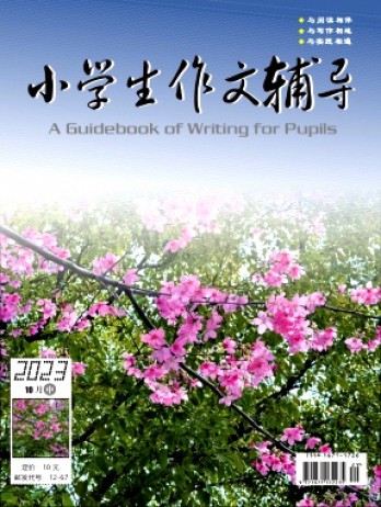 小学生作文辅导·中旬杂志