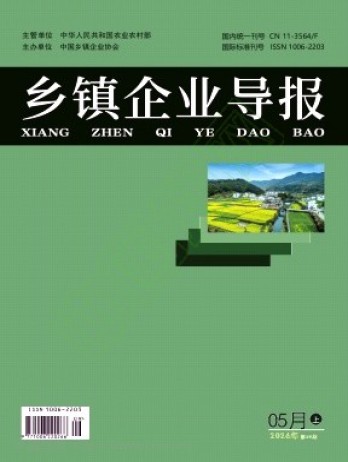 乡镇企业导报杂志